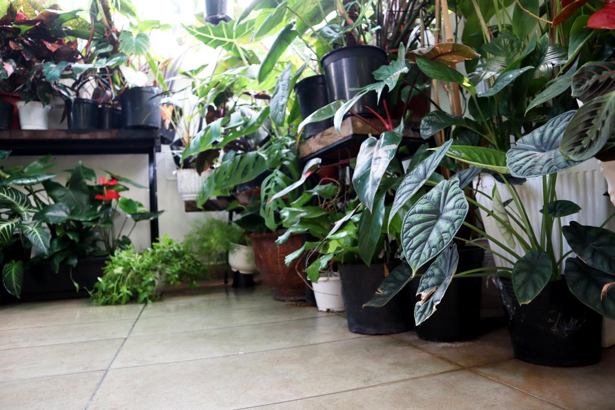 Amango Dorm Hostel Ho Chi Minh City Bagian luar foto