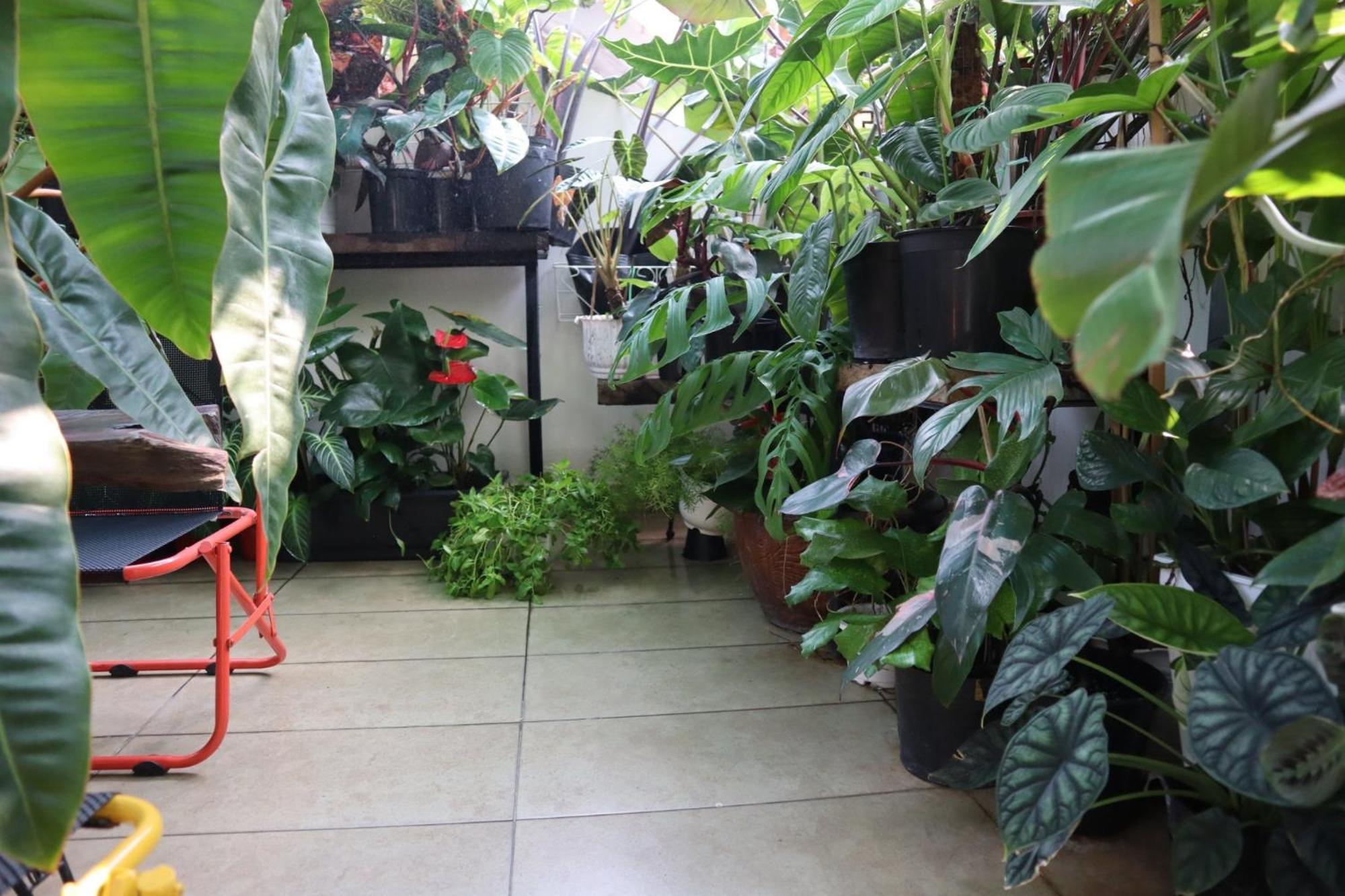 Amango Dorm Hostel Ho Chi Minh City Bagian luar foto